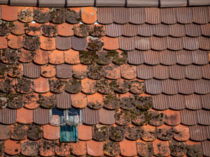 Read more about the article Don’t Replace Your Roof, Clean It!