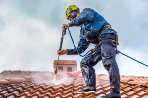 Read more about the article Essential Indicators Your Roof Needs Cleaning: Tips for Miami Homeowners