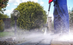 Read more about the article The Overlooked Consequences of Neglecting Routine Pressure Cleaning in Miami